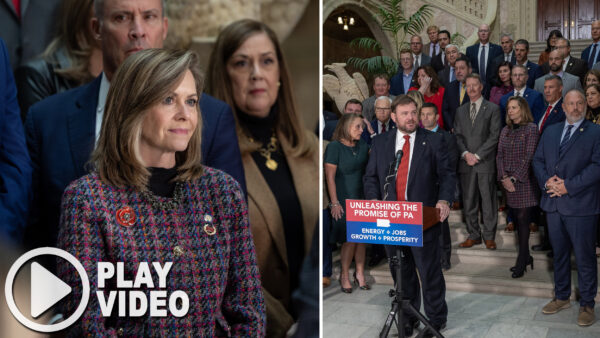 E-news Updates – November 22, 2025