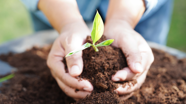 Bartolotta Announces Environmental Education Grants Awarded to Local School Districts
