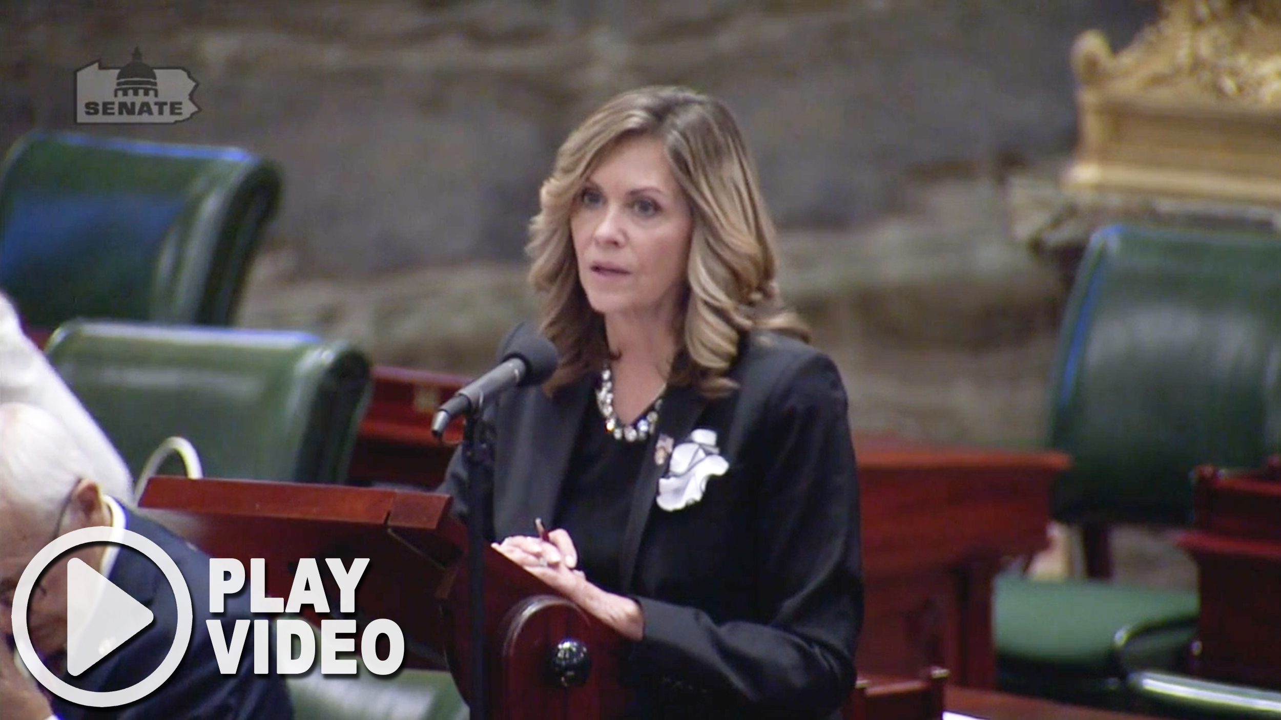 Sen. Bartolotta stands at a podium, speaking on the senate floor in the State Capitol.