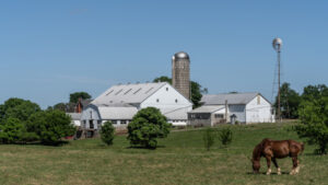 White farm buildings in background with horse and green field in foreground.