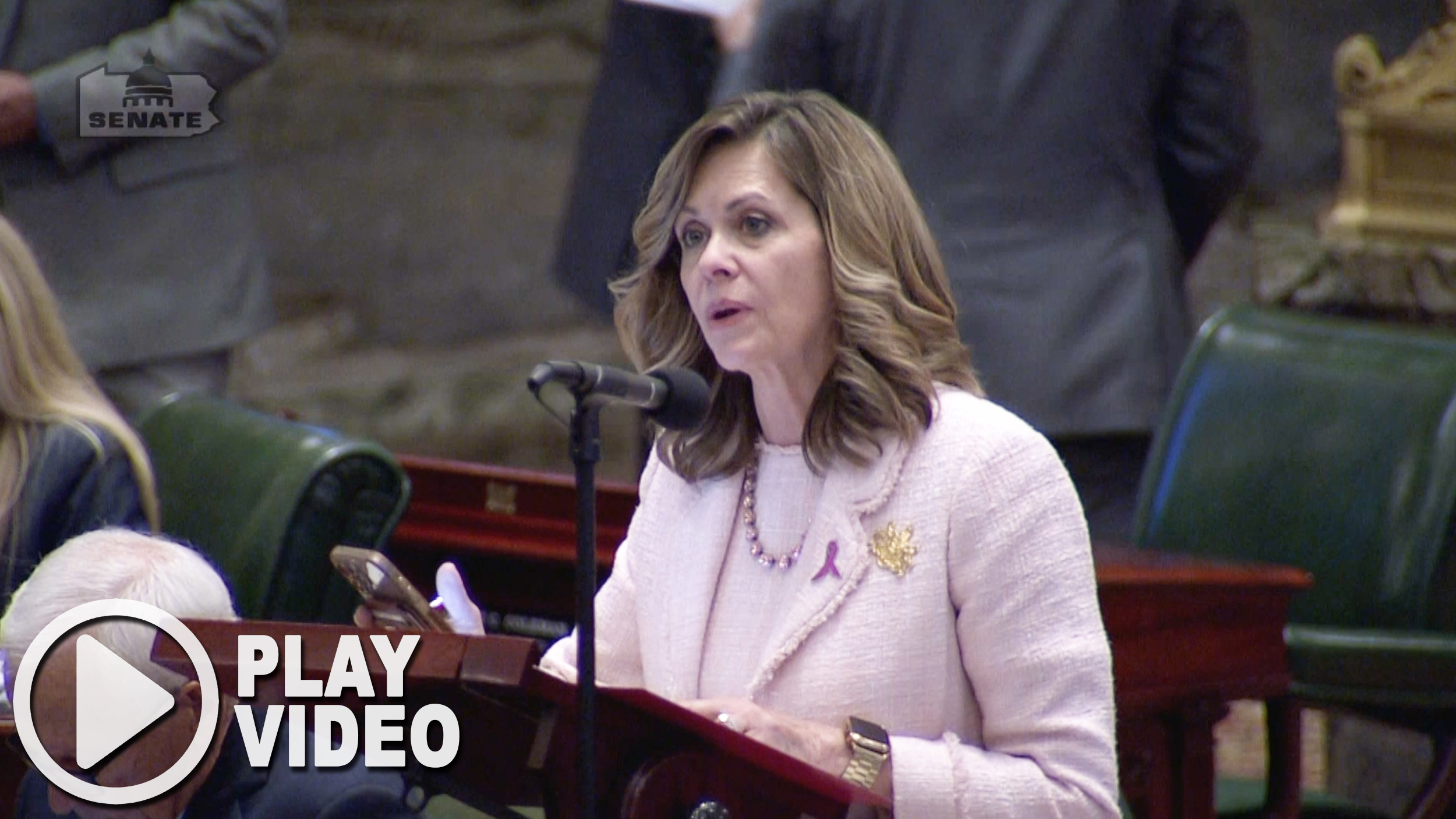 Sen. Bartolotta speaks at a podium on the floor of the senate in the Capitol Building in Harrisburg.