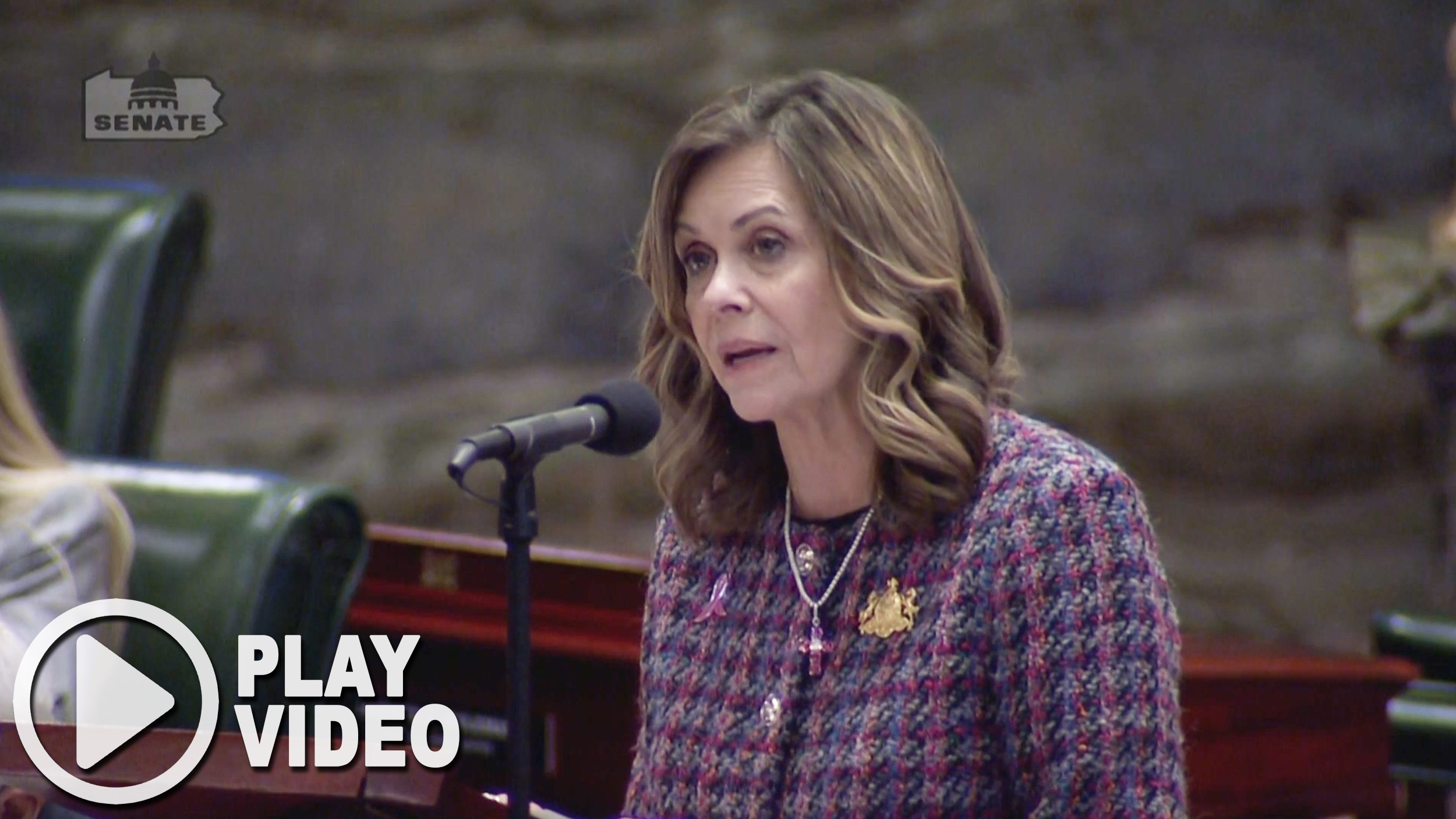 Senator Bartolotta delivers a speech at a podium on the senate floor.